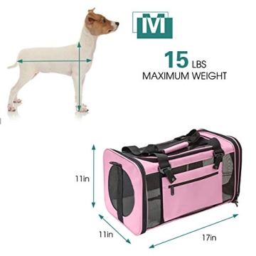 Prodigen Airline Approved Pet Carrier for Small Pets