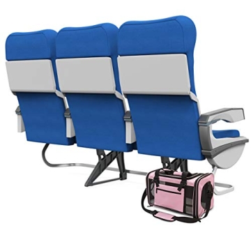 Prodigen Airline Approved Pet Carrier for Small Pets