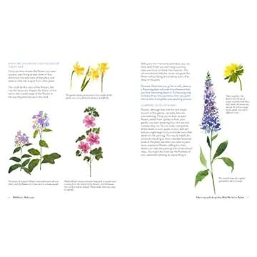 Wildflower Watercolor: The Beginner’s Guide to Painting Beautiful Florals