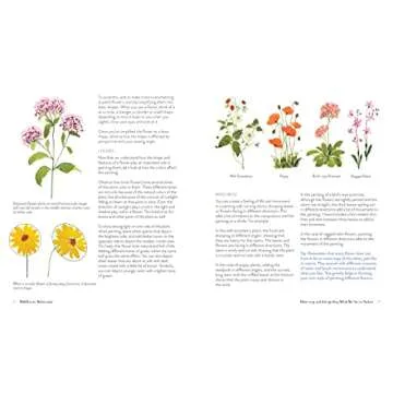 Wildflower Watercolor: The Beginner’s Guide to Painting Beautiful Florals