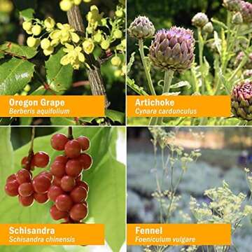 Herb Pharm Liver Health Liquid Herbal Formula - 4 Ounce