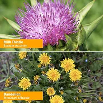 Herb Pharm Liver Health Liquid Herbal Formula - 4 Ounce