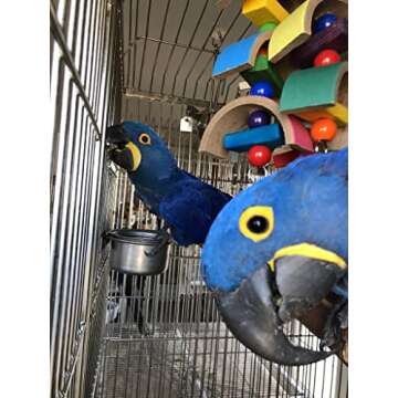 Super Bird Creations SB970 Humdinger Bird Toy: Ideal Pet Parrot Toy for Large to XL Birds Like Macaw...