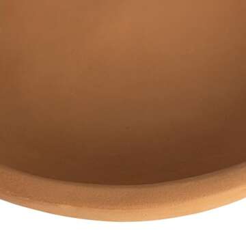 Creative Co-Op Large Orange Terracotta Bowl for Serving and Decor