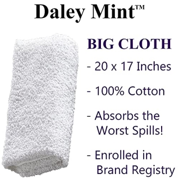 FOLEX Instant Carpet Spot Remover with Daley Mint Cloth