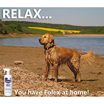 FOLEX Instant Carpet Spot Remover with Daley Mint Cloth