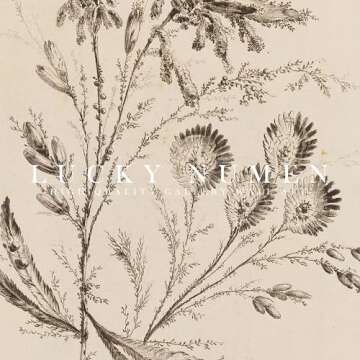 Vintage Floral Wall Art Set of 6 - Timeless Home Decor