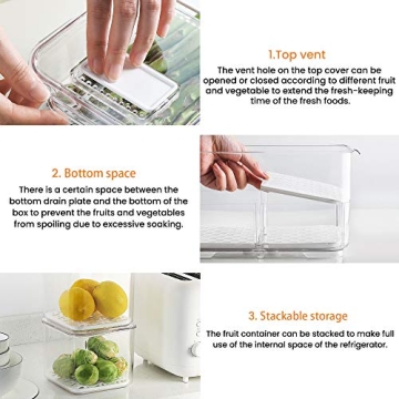 Vacane Eco-Friendly Produce Keeper Storage Containers