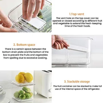 Vacane Eco-Friendly Produce Keeper Storage Containers