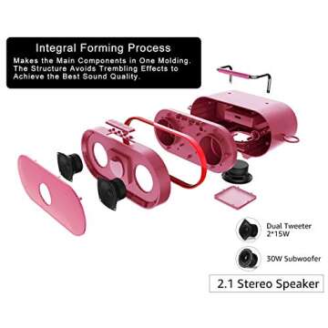 RHM Karaoke Machine with Wireless Microphones for Parties