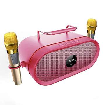 RHM Karaoke Machine with Wireless Microphones for Parties