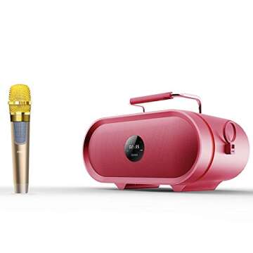 RHM Karaoke Machine with Wireless Microphones for Parties