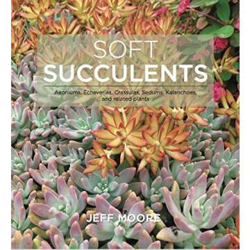 Soft Succulents Guide with Photos for All Gardeners