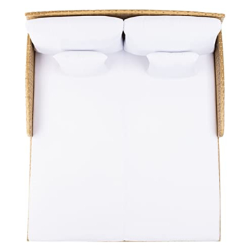 SAFAVIEH Outdoor Daybed Comfortable Natural/White