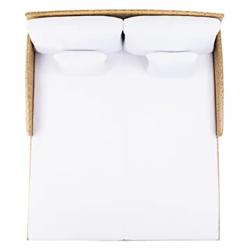 SAFAVIEH Outdoor Daybed Comfortable Natural/White