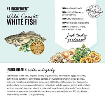 The Honest Kitchen Dehydrated Whole Grain Fish & Oats Dog Food, 4 lb Box, 4.00 Pound (Pack of 1)