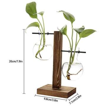 Alapaste Clear Glass Planter Bulb Vase with Retro Wooden Stand and Metal Swivel Holder Desktop Plant...