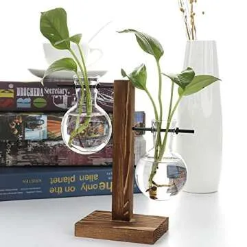 Alapaste Clear Glass Planter Bulb Vase with Retro Wooden Stand and Metal Swivel Holder Desktop Plant Terrarium for Hydroponics Plants Home Garden Office Decoration