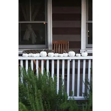 One Holiday Way 4.5-Inch Artificial White Pumpkins Wedding Decor Halloween Fall Table Decoration, 12 Piece Set - Autumn Harvest Rustic Country Farmhouse Decorative Tabletop Accents