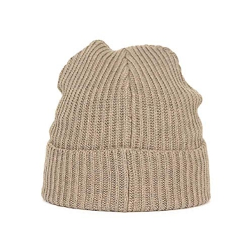 Patagonia Women's Beanie in Ash Tan for Warmth and Style