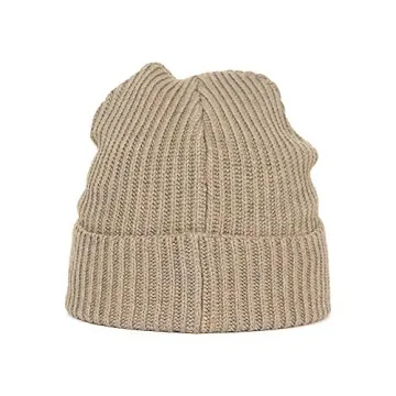 Patagonia Women's Beanie in Ash Tan for Warmth and Style