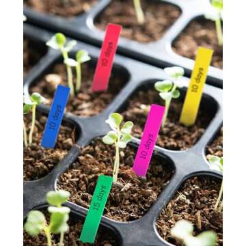 Durable Homenote 200 Pcs Plant Labels for Efficient Gardening