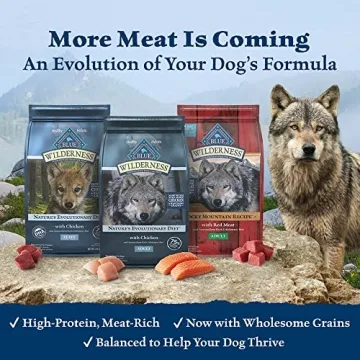 High Protein Natural Dog Food by Blue Buffalo 22-lb