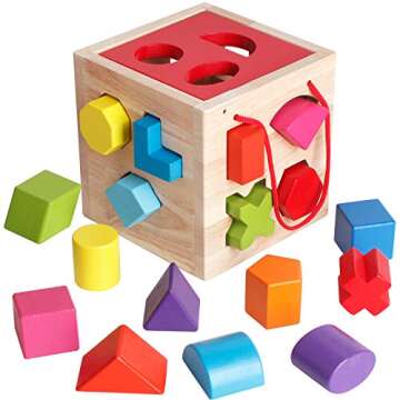 BESTAMTOY Shape Sorter Toy My First Wooden 12 Building Blocks Geometry Learning Matching Sorting Gifts Didactic Classic Toys for Toddlers Baby Kids 31 Years Old Up Fourteen Hole Toy