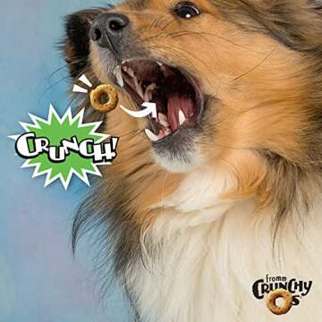 Fromm Crunchy Os Pumpkin Kran Pow Dog Treats - 6 oz