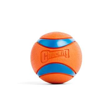 Chuckit! Ultra Ball Dog Toy with Chuckit! Cleaning Bucket Bundle - Bouncy Fetch Pet Toys For Dogs 20...