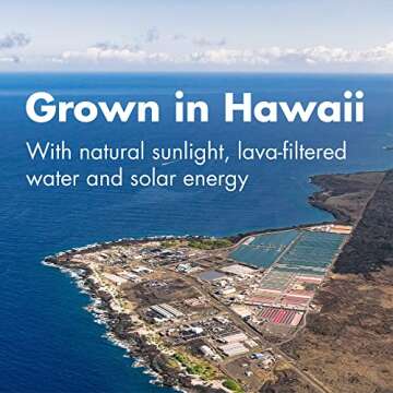 Nutrex Hawaii Pure Hawaiian Spirulina 100 Tablets Vegan