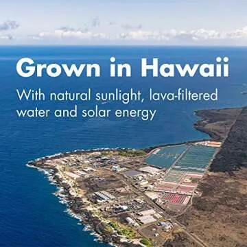 Nutrex Hawaii Pure Hawaiian Spirulina 100 Tablets Vegan