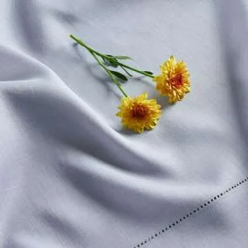 Solino Home Hemstitch Linen Placemats 19" L x 14" W Inch - 100% Pure Linen Dusty Blue Easter Cloth Placemats Set of 4 - Classic Hemstitch, Washable Fabric Table Mats