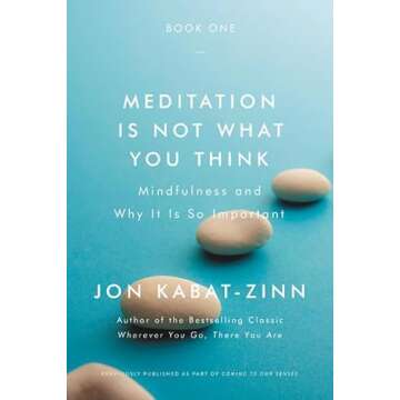 Meditation Is Not What You Think: Mindfulness and Why It Is So Important