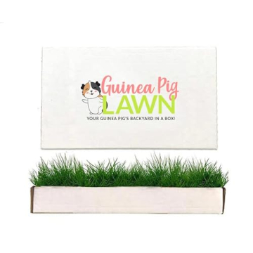 Guinea Pig Lawn Fresh Grass Lounging Mat - Perfect for Lounging Indoor/Outdoor - Multi-Use, Natural ...
