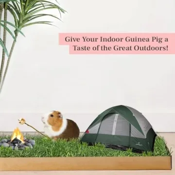 Guinea Pig Lawn Fresh Grass Mat - Natural & Multi-Use Gift
