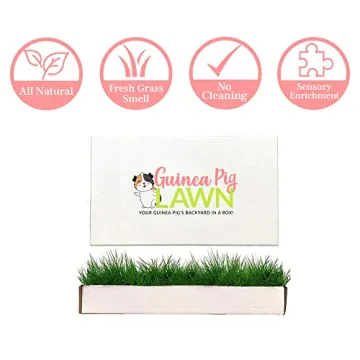 Guinea Pig Lawn Fresh Grass Mat - Natural & Multi-Use Gift