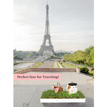 Guinea Pig Lawn Fresh Grass Mat - Natural & Multi-Use Gift