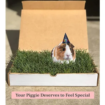 Guinea Pig Lawn Fresh Grass Mat - Natural & Multi-Use Gift