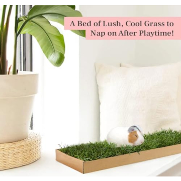 Guinea Pig Lawn Fresh Grass Mat - Natural & Multi-Use Gift