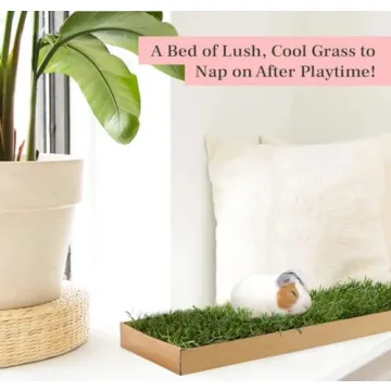 Guinea Pig Lawn Fresh Grass Mat - Natural & Multi-Use Gift