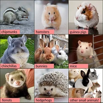 Guinea Pig Lawn Fresh Grass Mat - Natural & Multi-Use Gift