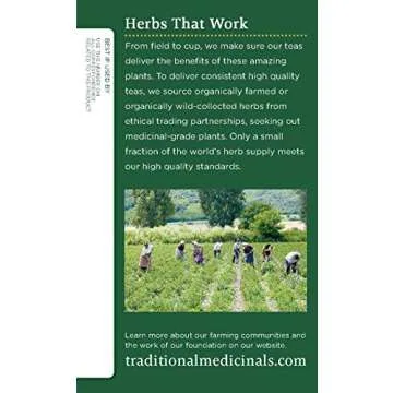 Traditional Medicinals Organic Spearmint Herbal Tea, Healthy & Refreshing, (Pack of 1) - 16 Tea Bags