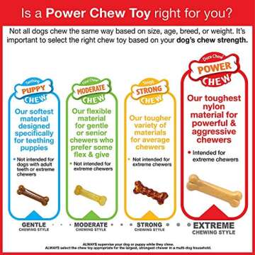 Nylabone 2 Pack of Allergen-Free Peanut Butter Flavor Comfort Hold Power Chew Bone, Giant, Dental Chew Dog Toy