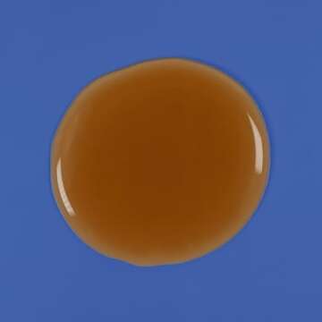 Amazon Basics Therapeutic Plus Coal Tar Anti-Dandruff Shampoo Extra Strength 1% Coal Tar, 6 Fl Oz, Pack of 1