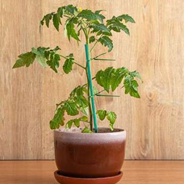 Qefuna 30Pcs 16 Inch Garden Stakes Green Bamboo Sticks Decorative Garden Wood Stakes for Plants, Wooden Plant Support Sticks, Small Stakes for Garden with Garden Ties and Nylon Plant Tie Strap