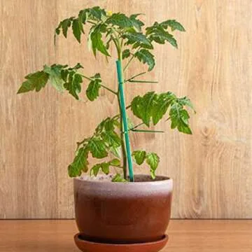 Qefuna 30Pcs 16 Inch Garden Stakes Green Bamboo Sticks Decorative Garden Wood Stakes for Plants, Wooden Plant Support Sticks, Small Stakes for Garden with Garden Ties and Nylon Plant Tie Strap