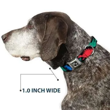 Buckle-Down Dinosaur Dog Collar - Adjustable & Durable