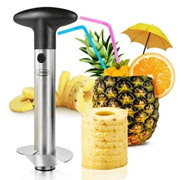 Premium Stainless Steel Pineapple Corer Slicer Tool