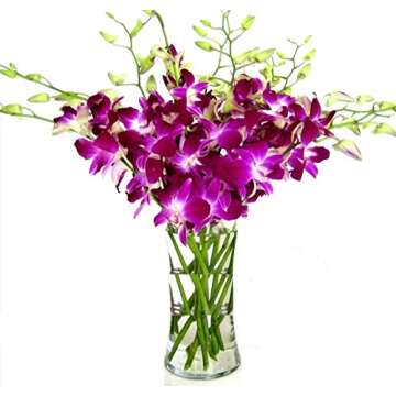Fresh Cut Flowers -Dendrobium Purple Orchids with Vase Gift for Birthday, Sympathy, Anniversary, Get Well, Thank You, Valentine, Mother's Day Flowers, Christmas and Easter (Support Small Business)